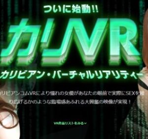 VR3D系有料アダルト無修正サイト比較ランキング紹介